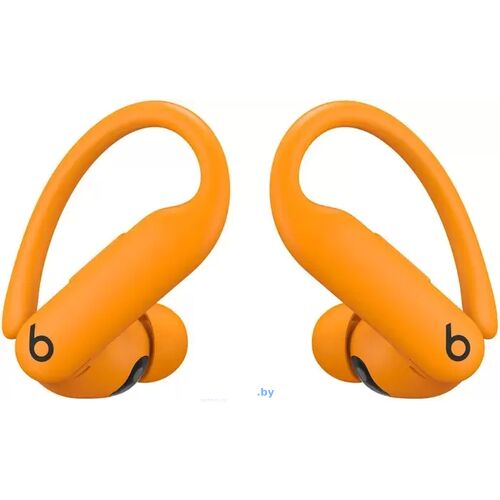 Наушники Beats Powerbeats Pro 2 (оранжевый) / Electric Orange