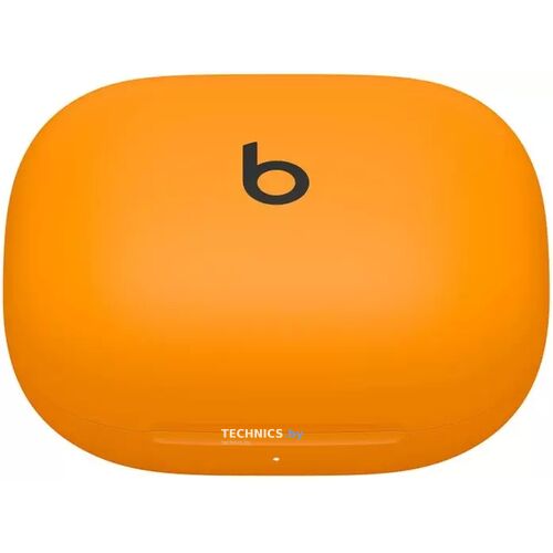 Наушники Beats Powerbeats Pro 2 (оранжевый) / Electric Orange