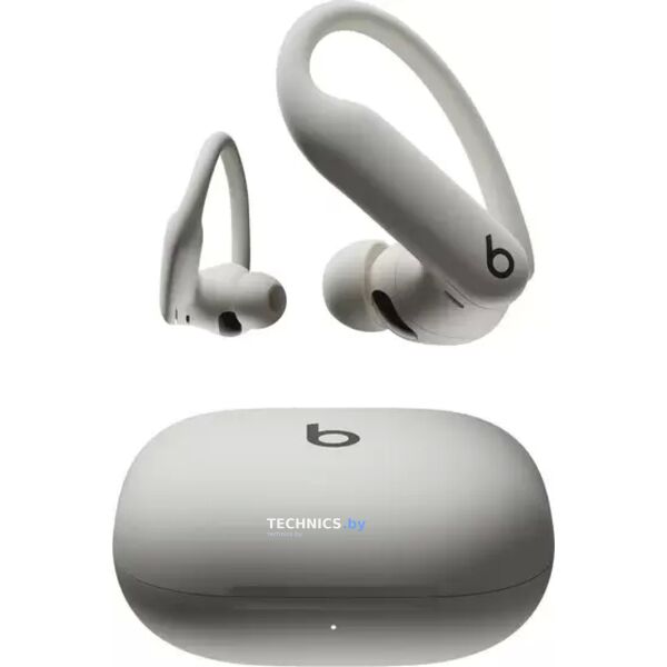 Наушники Beats Powerbeats Pro 2 (серый)