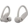 Наушники Beats Powerbeats Pro 2 (серый) Gray