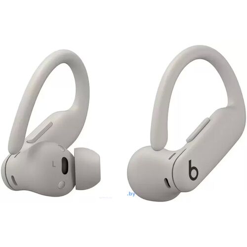 Наушники Beats Powerbeats Pro 2 (серый) Gray