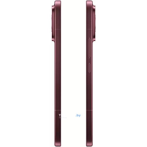 Смартфон POCO F9 Ultra 12GB/256GB (International Version, Burgundy) — купить в Минске