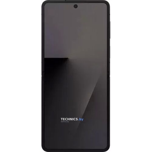 Samsung Galaxy Z Flip7 SM-F766B 12GB/256GB (черный) Jet Black