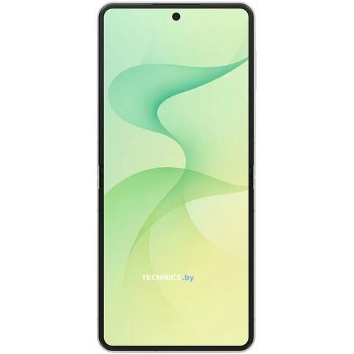 Samsung Galaxy Z Flip8 SM-F776B 12GB/256GB (мятный) Mint