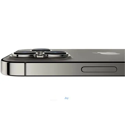 Смартфон Apple iPhone 13 Pro 256Gb (графитовый)