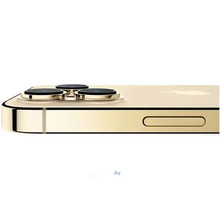 Смартфон Apple iPhone 13 Pro Max 128Gb (золотой)