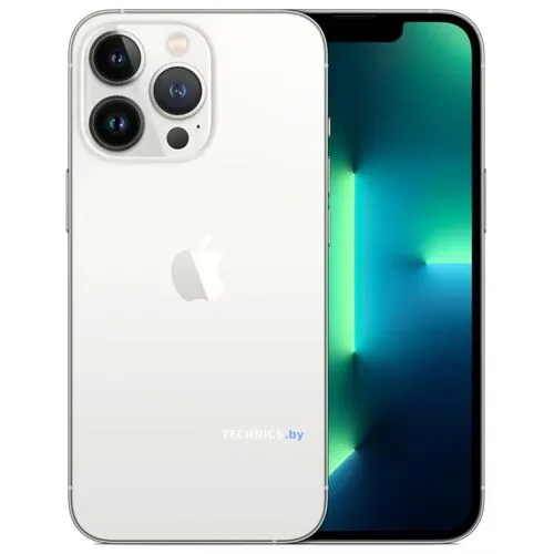 Смартфон Apple iPhone 13 Pro Max 256Gb (серебристый)