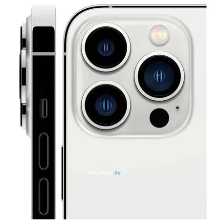Смартфон Apple iPhone 13 Pro Max 256Gb (серебристый)