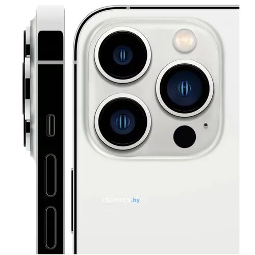 Смартфон Apple iPhone 13 Pro Max 256Gb (серебристый)