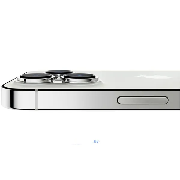 Смартфон Apple iPhone 13 Pro Max 256Gb (серебристый)
