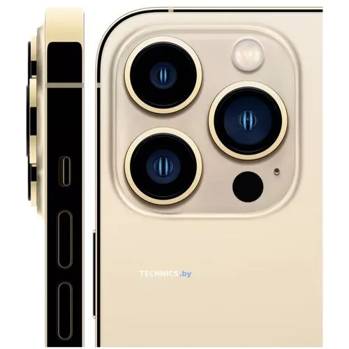 Смартфон Apple iPhone 13 Pro Max 256Gb (золотой)