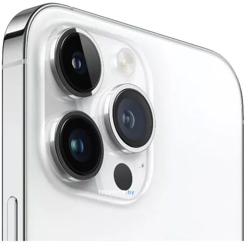 Смартфон Apple iPhone 14 Pro 256GB (серебристый)