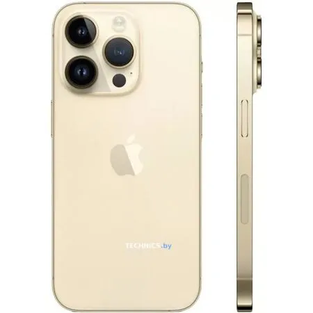 Смартфон Apple iPhone 14 Pro Max 256GB (золотистый)