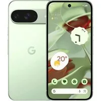 Смартфон Google Pixel 9 12GB/256GB (винтергрин)