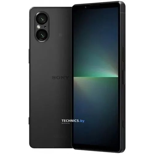 Смартфон Sony Xperia 5 V 8GB/256GB (черный)