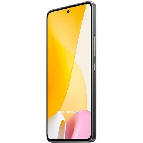 Смартфон Xiaomi 12 Lite 8GB/256GB черный (международная версия)