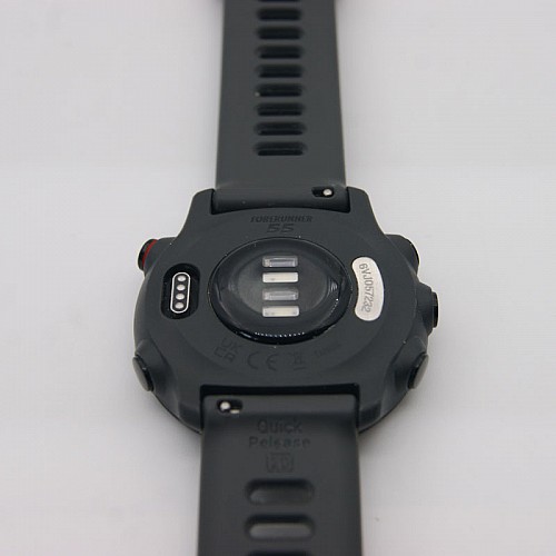 Умные часы Garmin Forerunner 55 (серый)