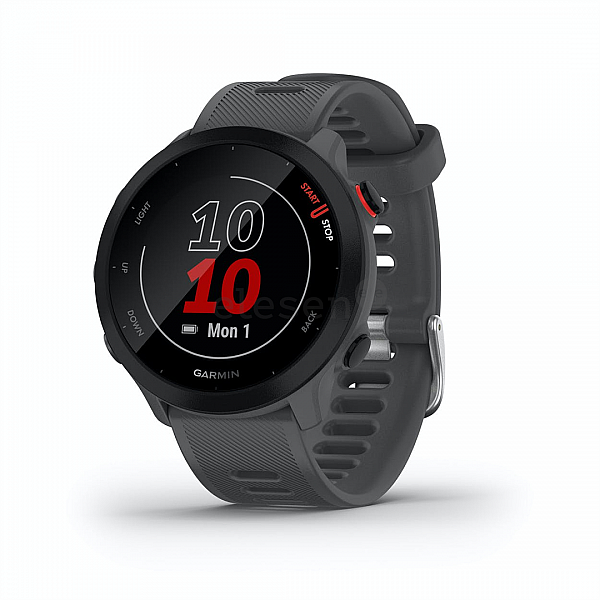 Умные часы Garmin Forerunner 55 (серый)