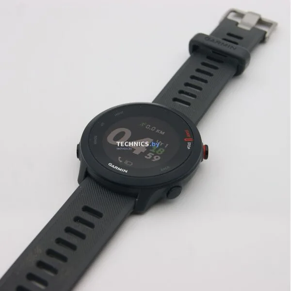 Умные часы Garmin Forerunner 55 (серый)