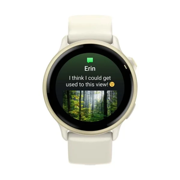 Умные часы Garmin Vivoactive 6 (лунное золото)