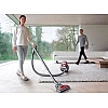 Пылесос Dyson Cinetic Big Ball Animalpro 2