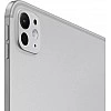Планшет Apple iPad Pro 11" 2024 256GB (серебристый)