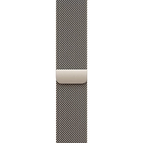 Умные часы Apple Watch Series 10 LTE 46 мм (титановый корпус, титановый/титановый, миланская петля)