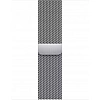 Умные часы Apple Watch Series 8 41 мм (корпус из нержавеющей стали, серебристый/серебристый, миланский сетчатый браслет)
