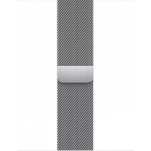 Умные часы Apple Watch Series 8 41 мм (корпус из нержавеющей стали, серебристый/серебристый, миланский сетчатый браслет)