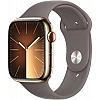 Умные часы Apple Watch Series 9 LTE 45 мм (корпус из нержавеющей стали, золотистый/темно-серый, спортивный силиконовый ремешок S/M)