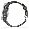Умные часы Garmin Fenix 7S Pro Solar (серебро/графит)