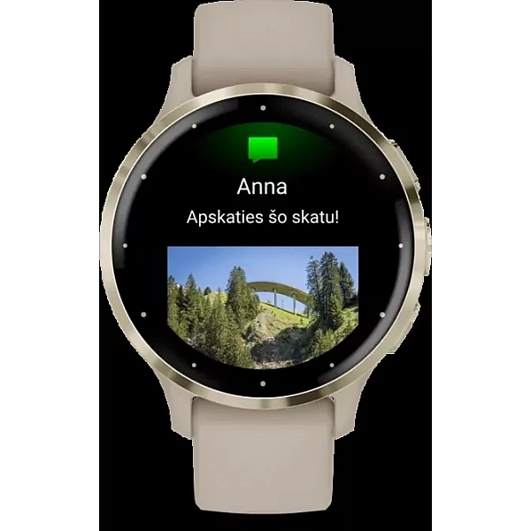 Умные часы Garmin Venu 3S (френч-грей, с силиконовым ремешком)