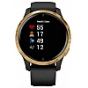 Умные часы Garmin Venu Gold/Black
