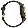 Умные часы Garmin Venu Gold/Black