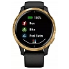 Умные часы Garmin Venu Gold/Black