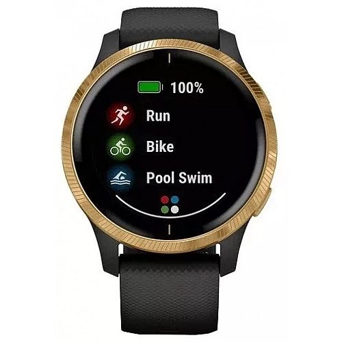 Умные часы Garmin Venu Gold/Black