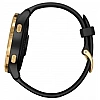 Умные часы Garmin Venu Gold/Black