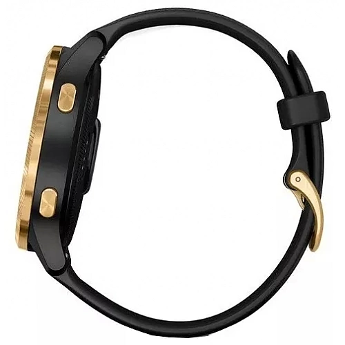 Умные часы Garmin Venu Gold/Black