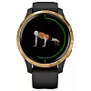 Умные часы Garmin Venu Gold/Black