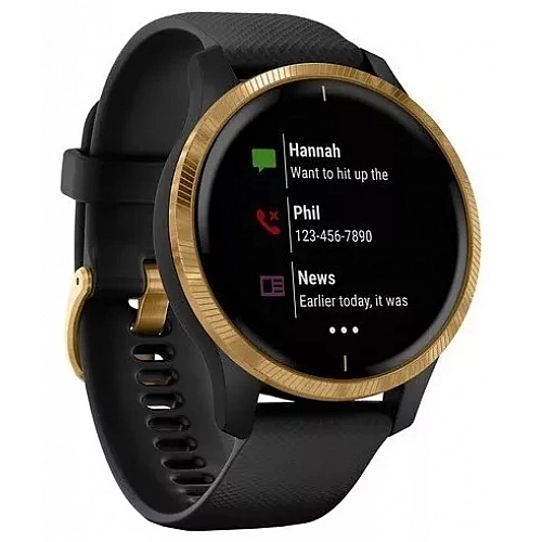 Умные часы Garmin Venu Gold/Black