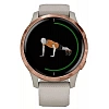 Умные часы Garmin Venu Rose Gold/Light Sand