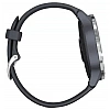 Умные часы Garmin Venu Silver/Blue