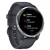 Умные часы Garmin Venu Silver/Blue