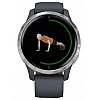 Умные часы Garmin Venu Silver/Blue