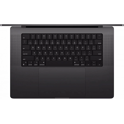 Ноутбук Apple MacBook Pro 16.2" M4 Max 2024 (MX303)