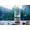 Humidifier Rainforest CJJSQ06ZM (международная версия)