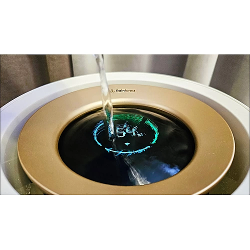 Humidifier Rainforest CJJSQ06ZM (международная версия)