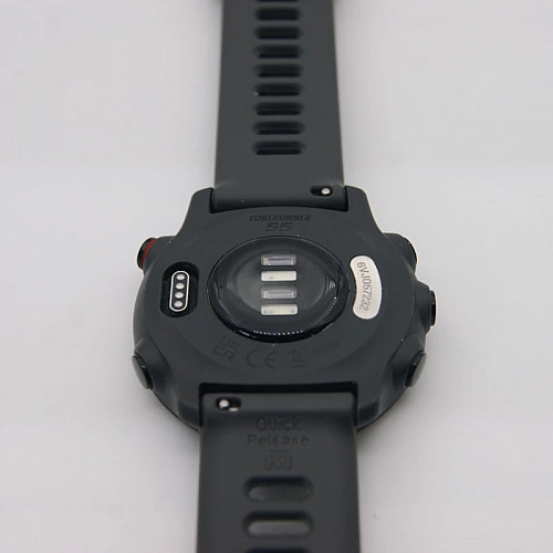 Умные часы Garmin Forerunner 55 (серый)