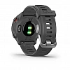 Умные часы Garmin Forerunner 55 (серый)