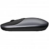 Беспроводная мышь Xiaomi Mi Mouse 2 (BXSBMW02) Black